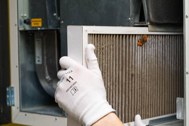 Best Affordable Air Duct Cleaning  in Mathews, LA