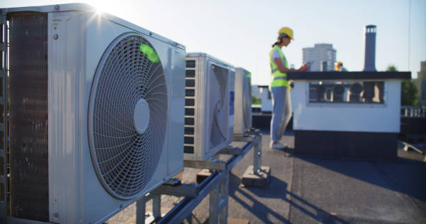 Best Air Duct Mold Removal  in Mathews, LA