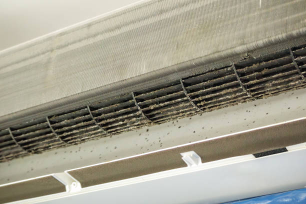 Best Ventilation Cleaning Services  in Mathews, LA