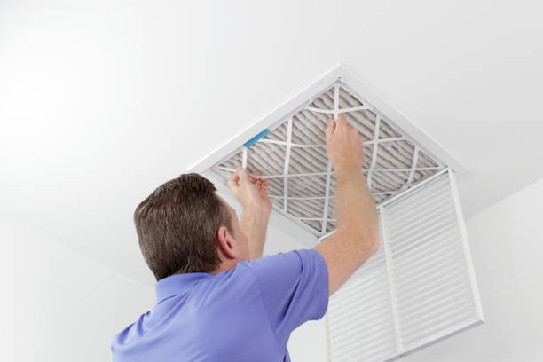Best Duct Cleaning for Homes  in Mathews, LA